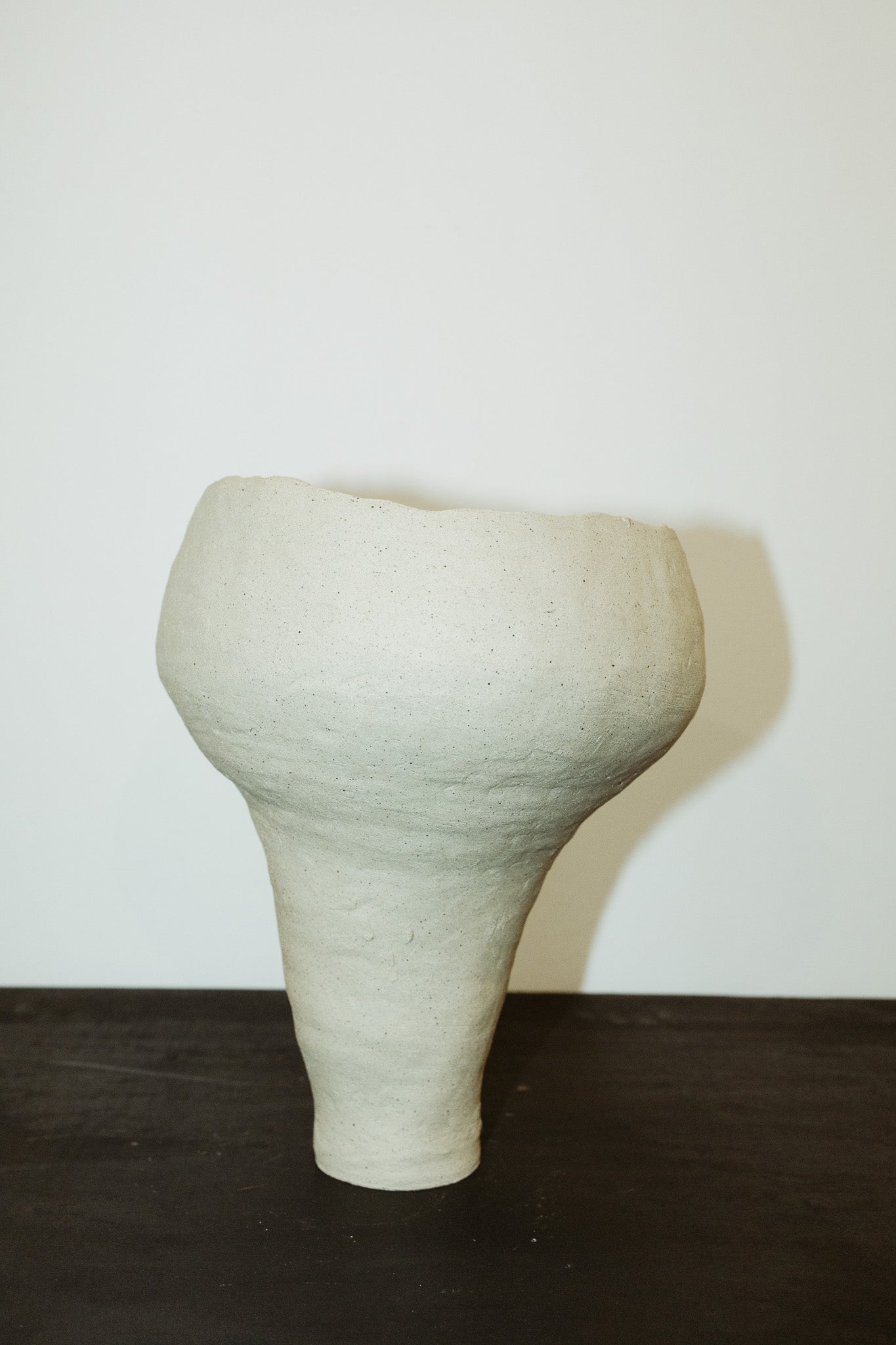 F004.5 CURIOUS VASE