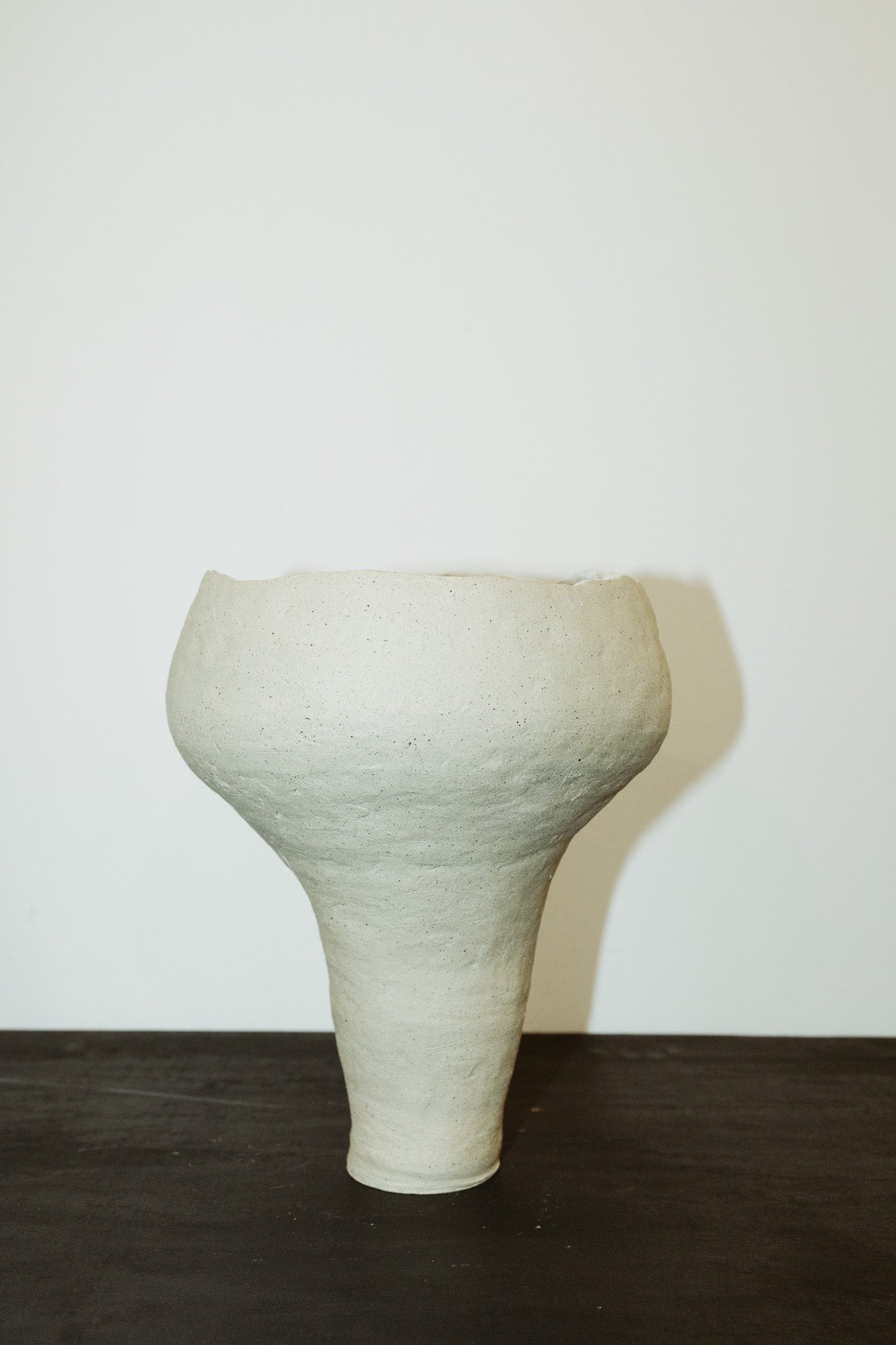 F004.5 CURIOUS VASE