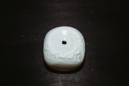 F004.10 DUMPLING