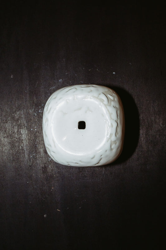 F004.10 DUMPLING